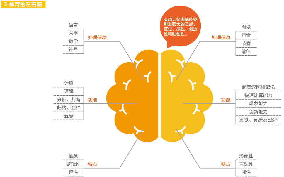 西城区儿童早教实训课程_【七田真】中文课程